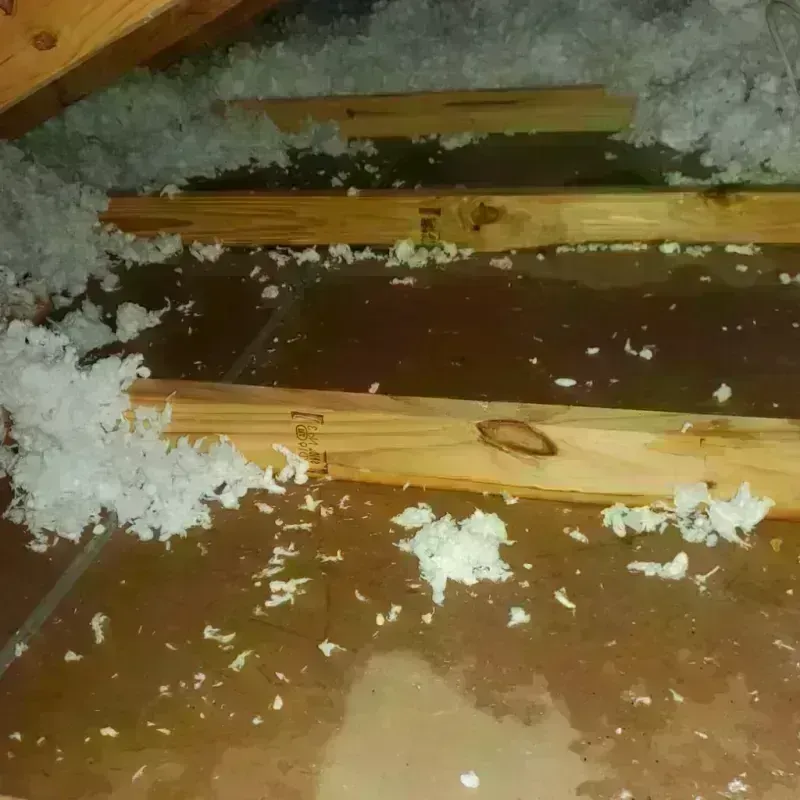 Attic Water Damage in Tillamook County, OR